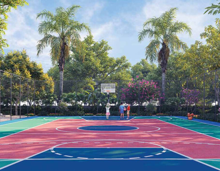 Basketball Court