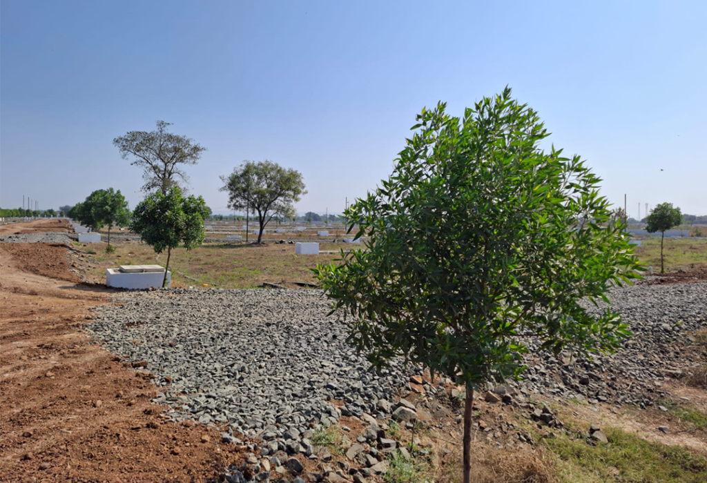 Plot-1